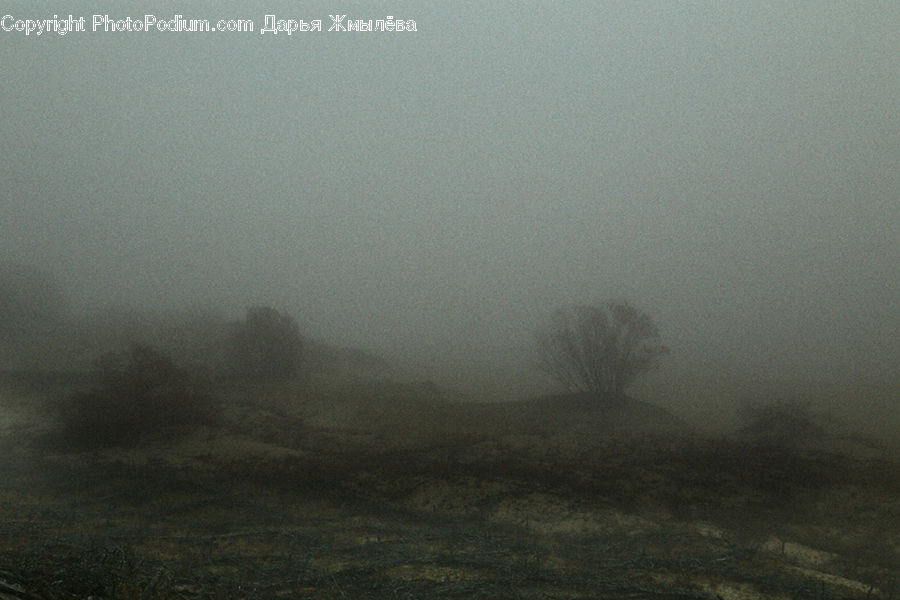 Fog, Mist, Outdoors