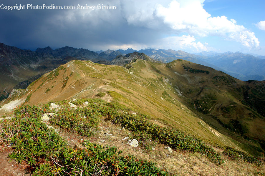 Crest, Mountain, Outdoors, Peak, Plant, Bush, Vegetation