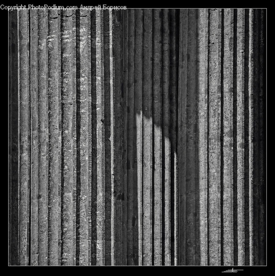 Building, City, High Rise
