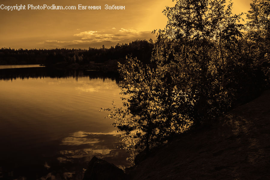 Dawn, Dusk, Sky, Sunrise, Sunset, Land, Marsh