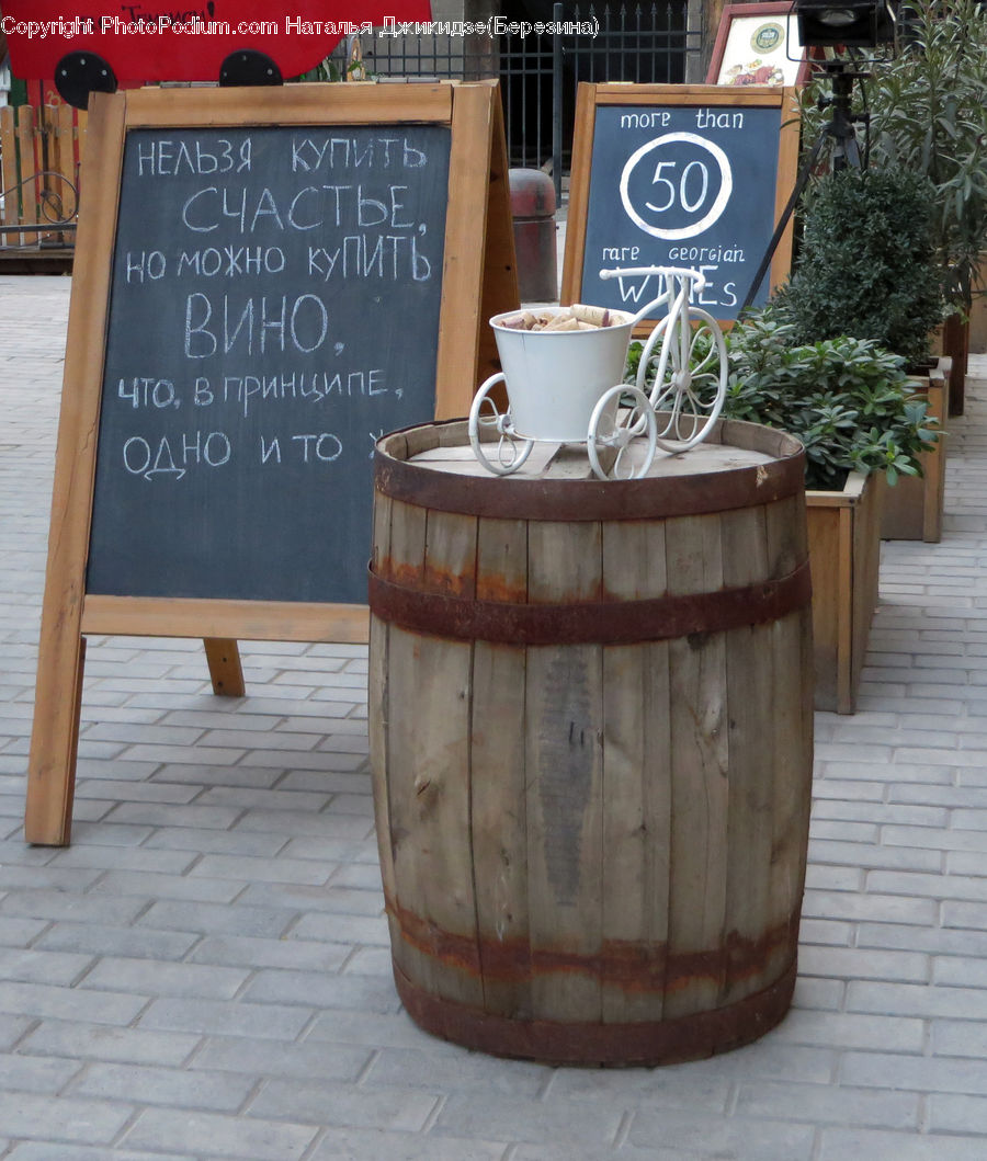 Blackboard, Plant, Potted Plant, Pot, Pottery, Herbal, Herbs