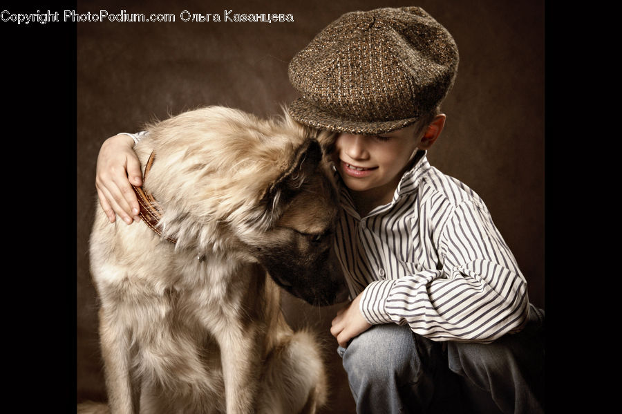 People, Person, Human, Angel, Animal, Canine, Cocker Spaniel