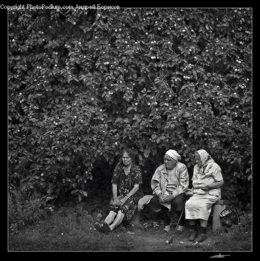 People, Person, Human, Outdoors, Soil, Portrait, Selfie
