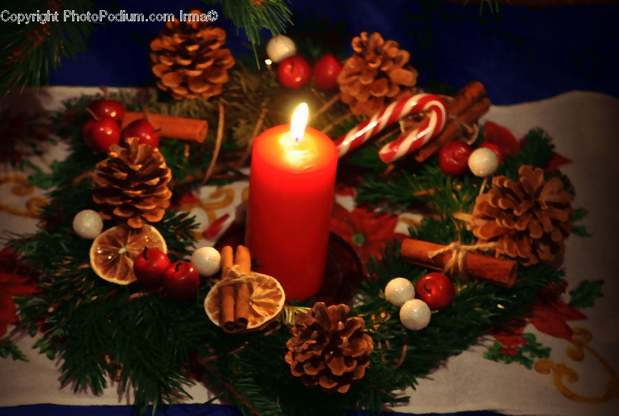 Candle, Plant, Potted Plant, Birthday Cake, Cake, Dessert, Food