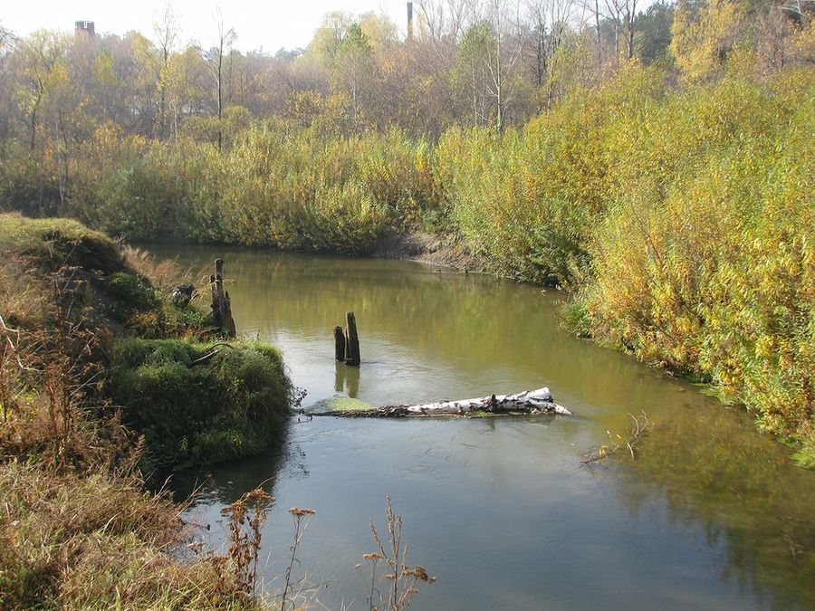Outdoors, Pond, Water, Land, Marsh, Swamp, Canal