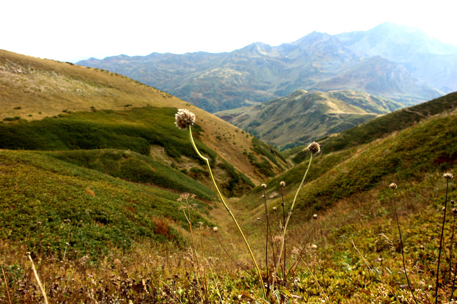 Field, Grass, Grassland, Land, Outdoors, Crest, Mountain