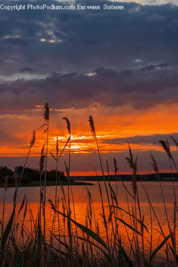 Dawn, Dusk, Red Sky, Sky, Sunrise, Sunset, Outdoors