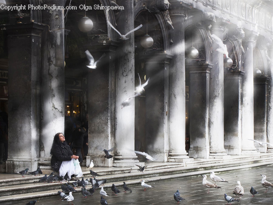 People, Person, Human, Fountain, Water, Art, Modern Art