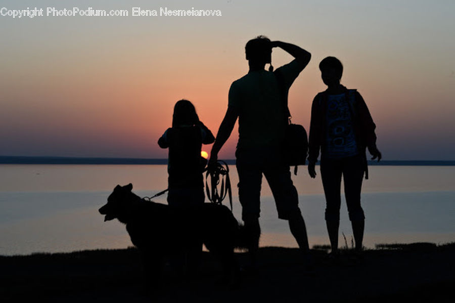 Human, People, Person, Silhouette, Beach, Coast, Outdoors