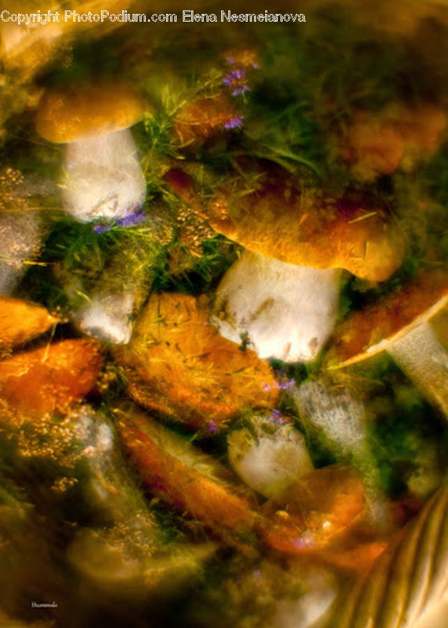 Agaric, Mushroom, Plant, Amanita, Fungus, Food, Art