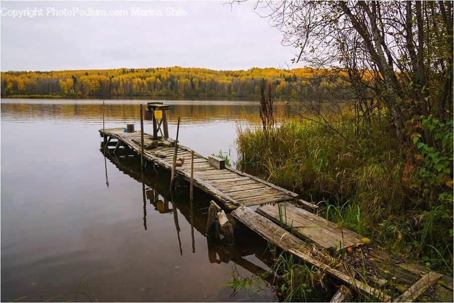Dock, Landing, Pier, Boardwalk, Deck, Path, Sidewalk