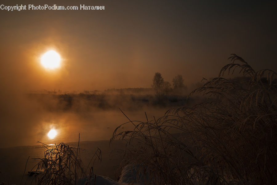 Dawn, Dusk, Sky, Sunrise, Sunset, Grass, Plant