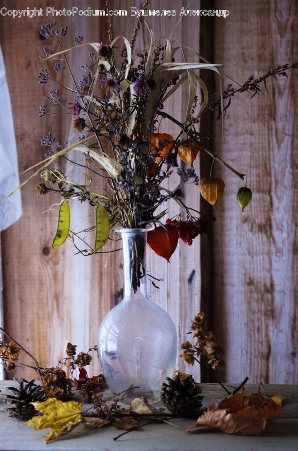 Floral Design, Flower, Flower Arrangement, Flower Bouquet, Ikebana, Jar, Porcelain