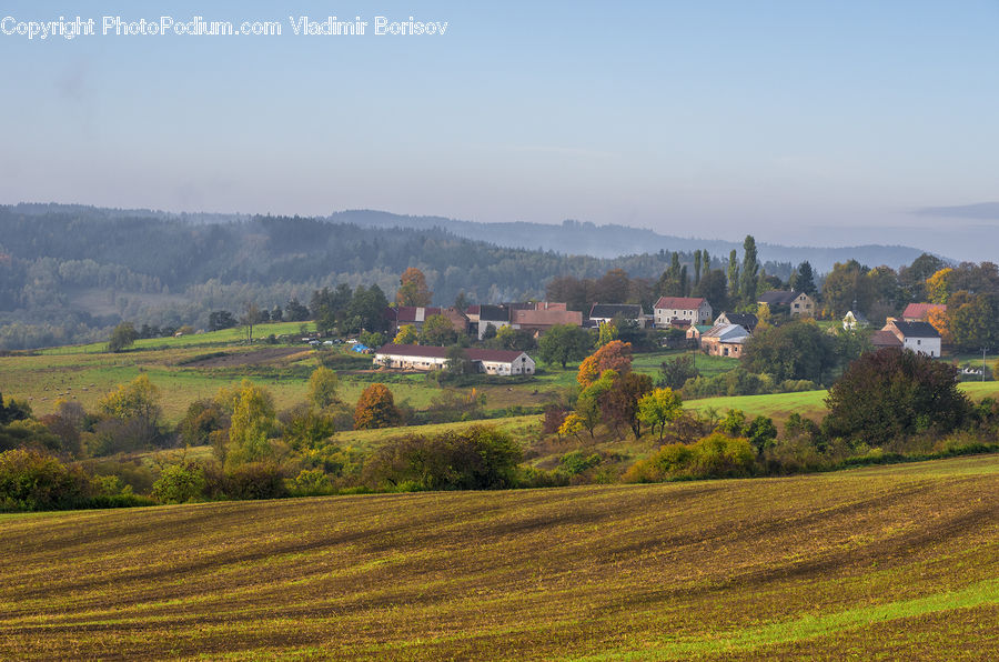 Countryside, Outdoors, Landscape, Nature, Scenery, Field, Grass