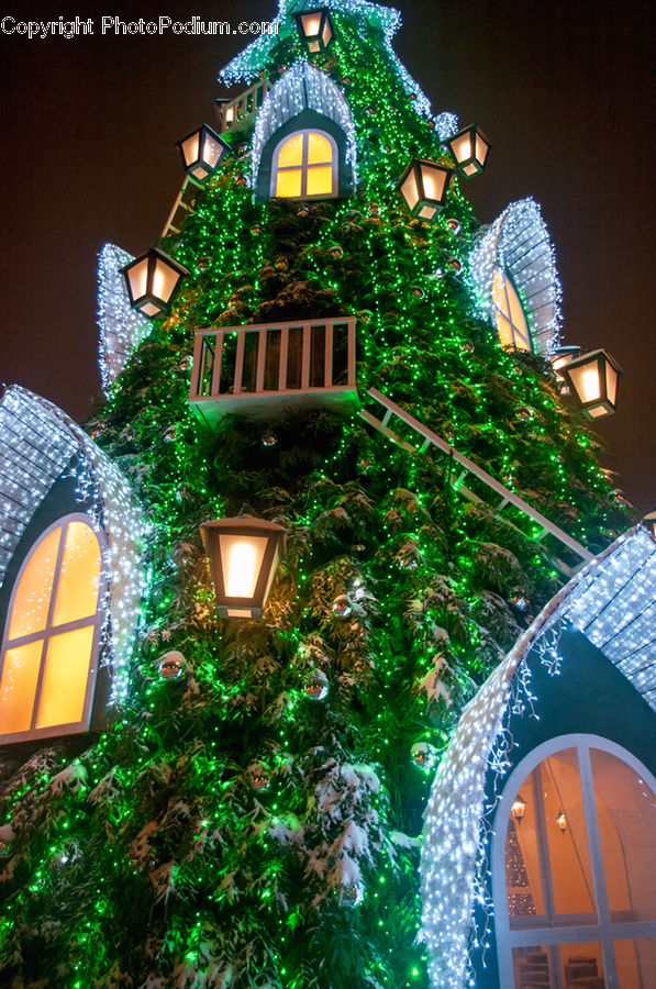 Ivy, Plant, Vine, Arch, Night, Outdoors, Building