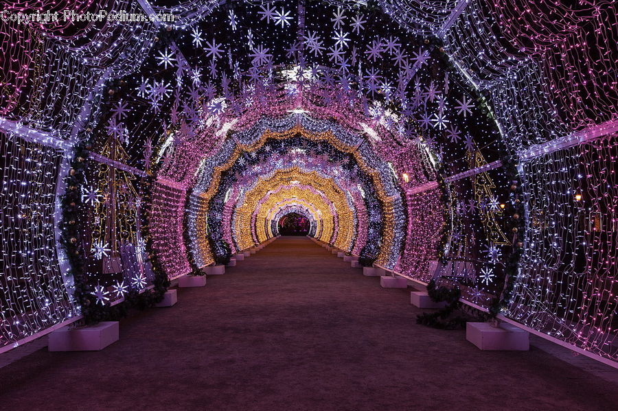 Carpet, Home Decor, Corridor, Tunnel, Path, Road, Walkway