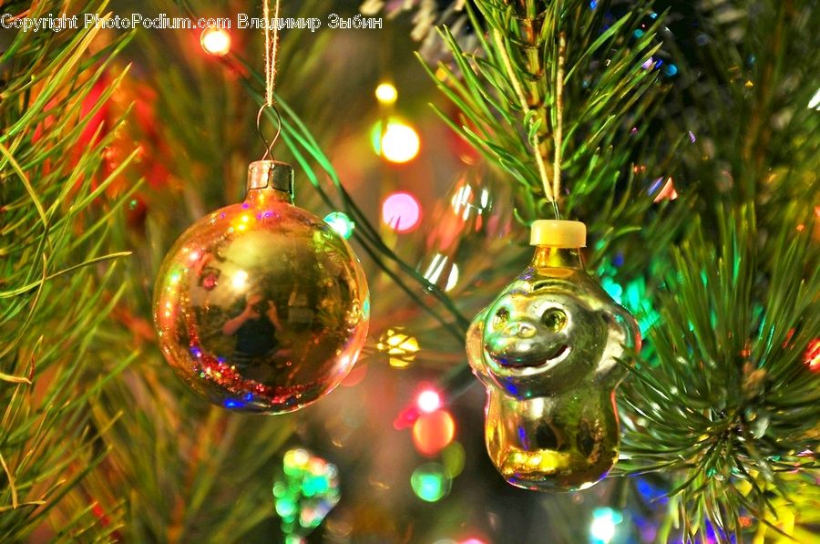 Ornament, Conifer, Fir, Plant, Tree, Carnival, Festival