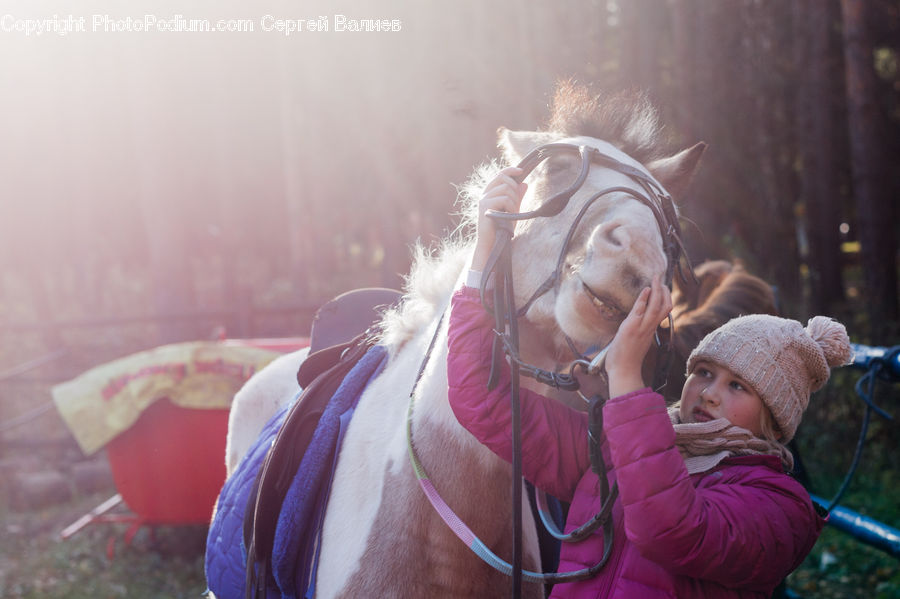 People, Person, Human, Animal, Horse, Mammal, Face