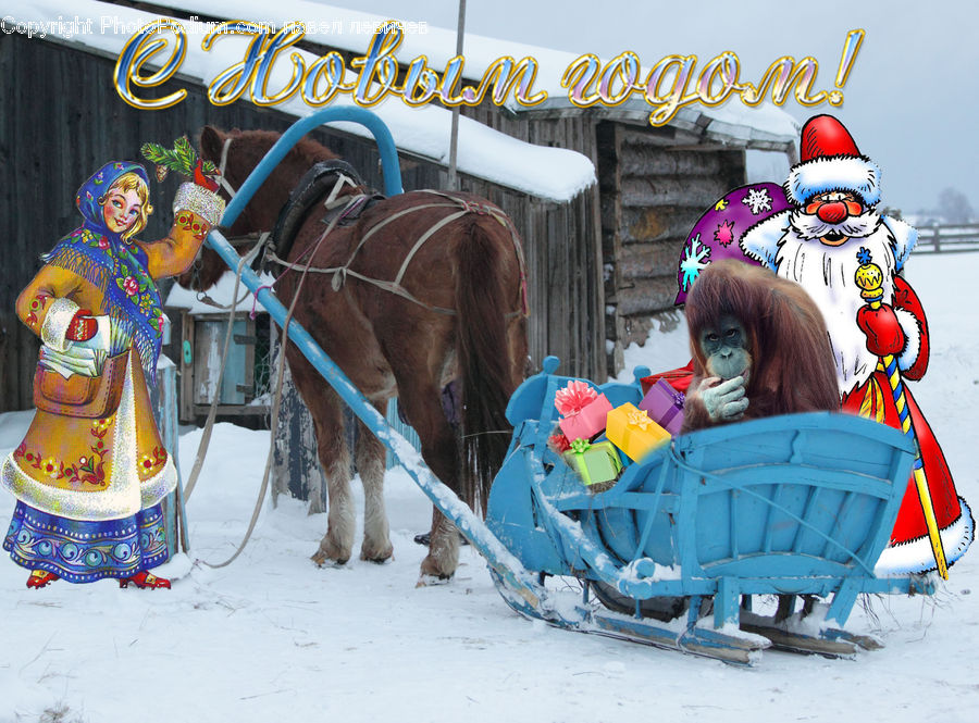 Carriage, Horse Cart, Vehicle, Clown, Performer, Person, Animal