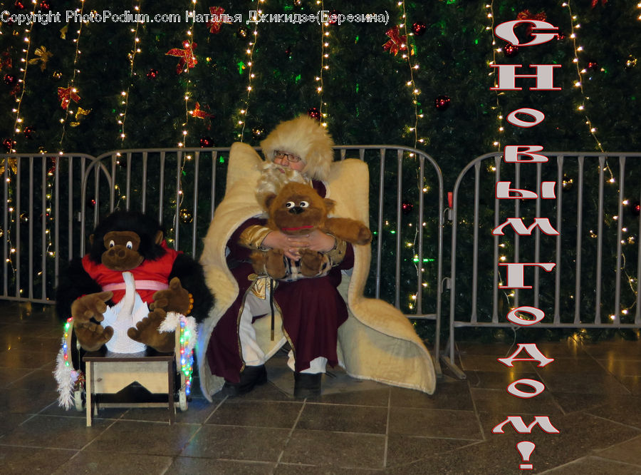 Teddy Bear, Toy, People, Person, Human, Mascot, Costume