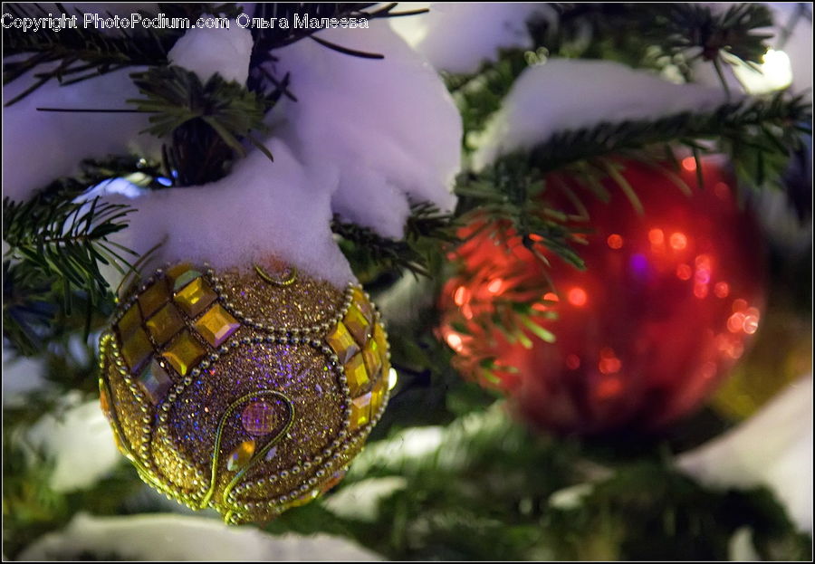 Ornament, Plant, Potted Plant, Glitter, Light, Bling, Flower