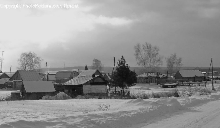 Ice, Outdoors, Snow, Countryside, Field, Rural, Plant