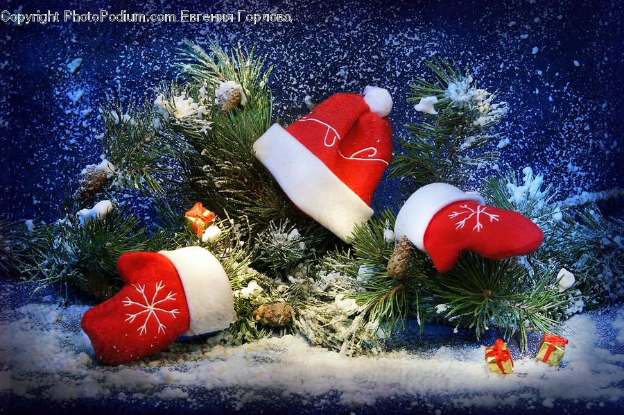 Ball, Sphere, Toy, Gift, Conifer, Fir, Plant