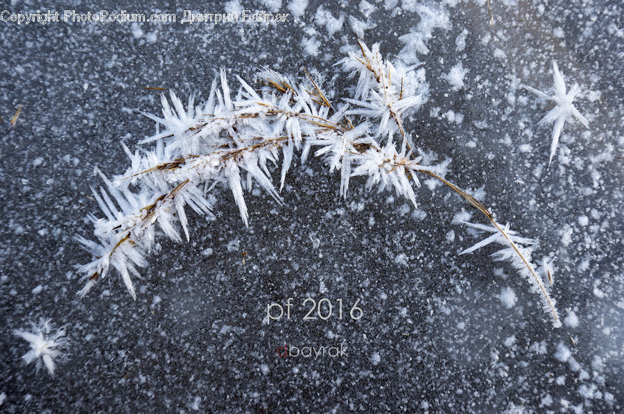 Frost, Ice, Outdoors, Snow, Asphalt, Tarmac