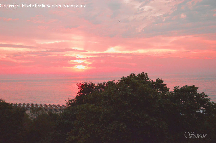Dawn, Dusk, Red Sky, Sky, Sunrise, Sunset, Outdoors