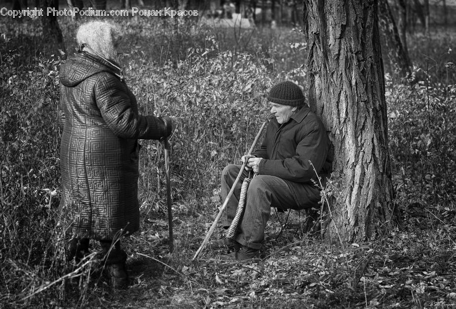 People, Person, Human, Forest, Grove, Land, Vegetation