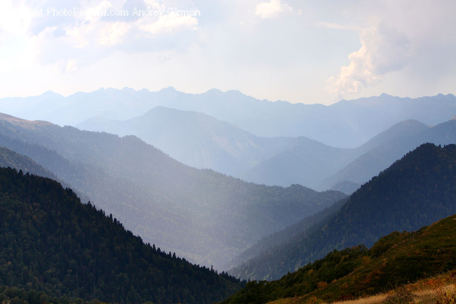 Crest, Mountain, Outdoors, Peak, Mountain Range, Forest, Vegetation