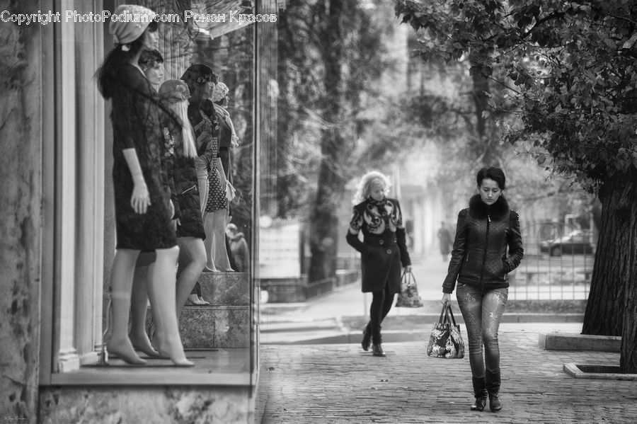 Human, People, Person, Blonde, Female, Woman, Leisure Activities