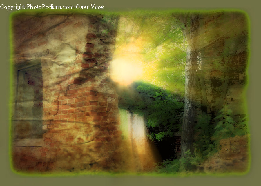 Art, Modern Art, Fern, Plant, Canal, Outdoors, River