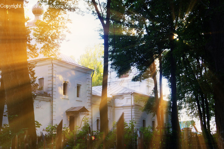Flare, Light, Sunlight, Building, Cottage, Housing, Villa