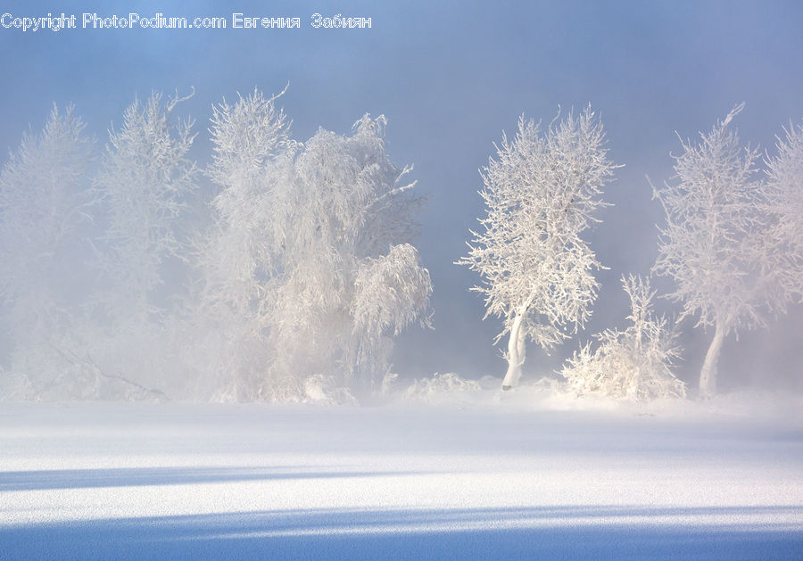 Frost, Ice, Outdoors, Snow, Landscape, Nature, Scenery