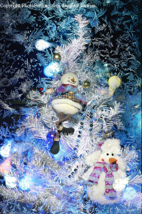Teddy Bear, Toy, Collage, Poster, Home Decor, Quilt, Coral Reef