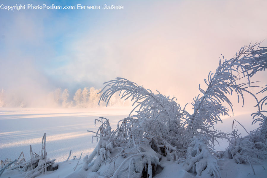 Ice, Outdoors, Snow, Arctic, Winter, Field, Grass
