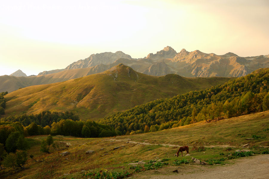 Crest, Mountain, Outdoors, Peak, Field, Grass, Grassland