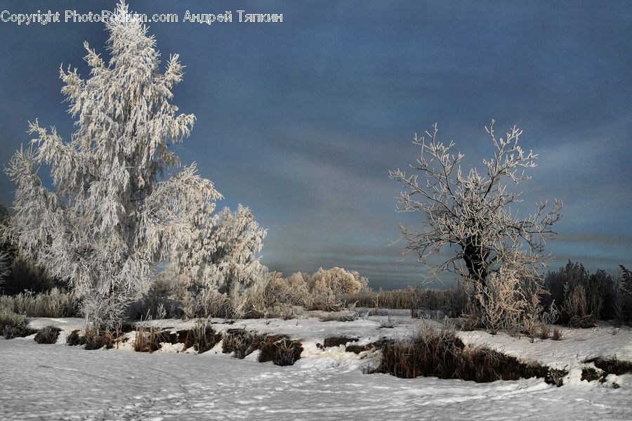 Frost, Ice, Outdoors, Snow, Landscape, Nature, Scenery