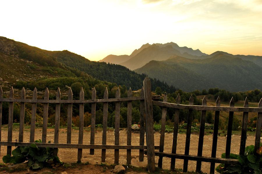 Fence, Soil, Landscape, Nature, Scenery, Plant