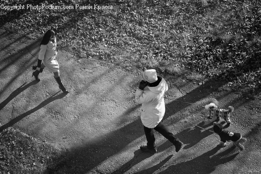 People, Person, Human, Asphalt, Tarmac, Female, Outdoors