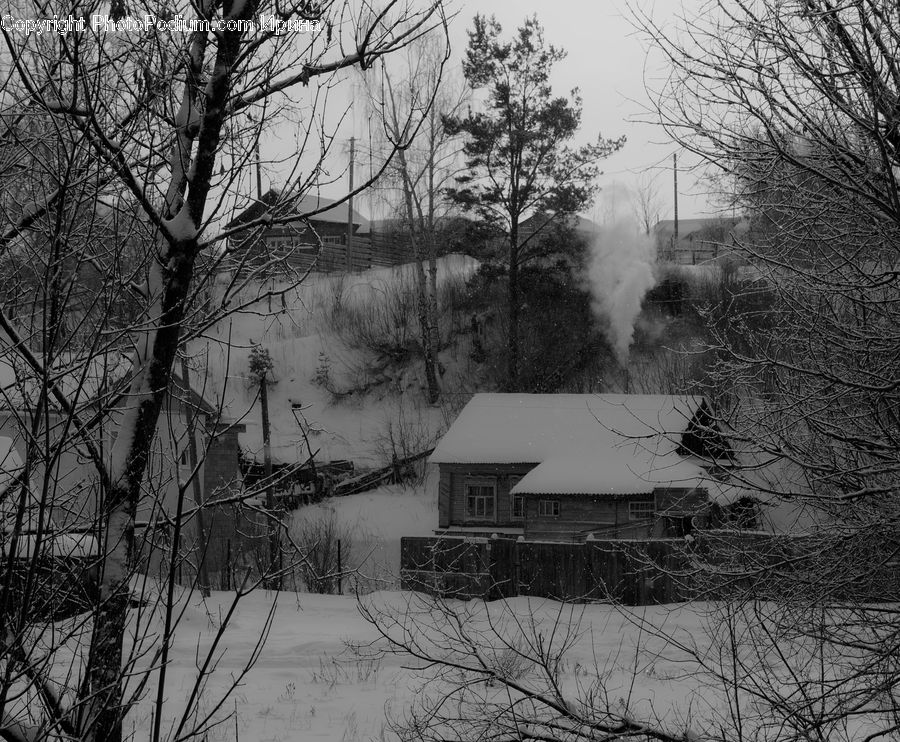 Plant, Tree, Ice, Outdoors, Snow, Countryside, Cabin