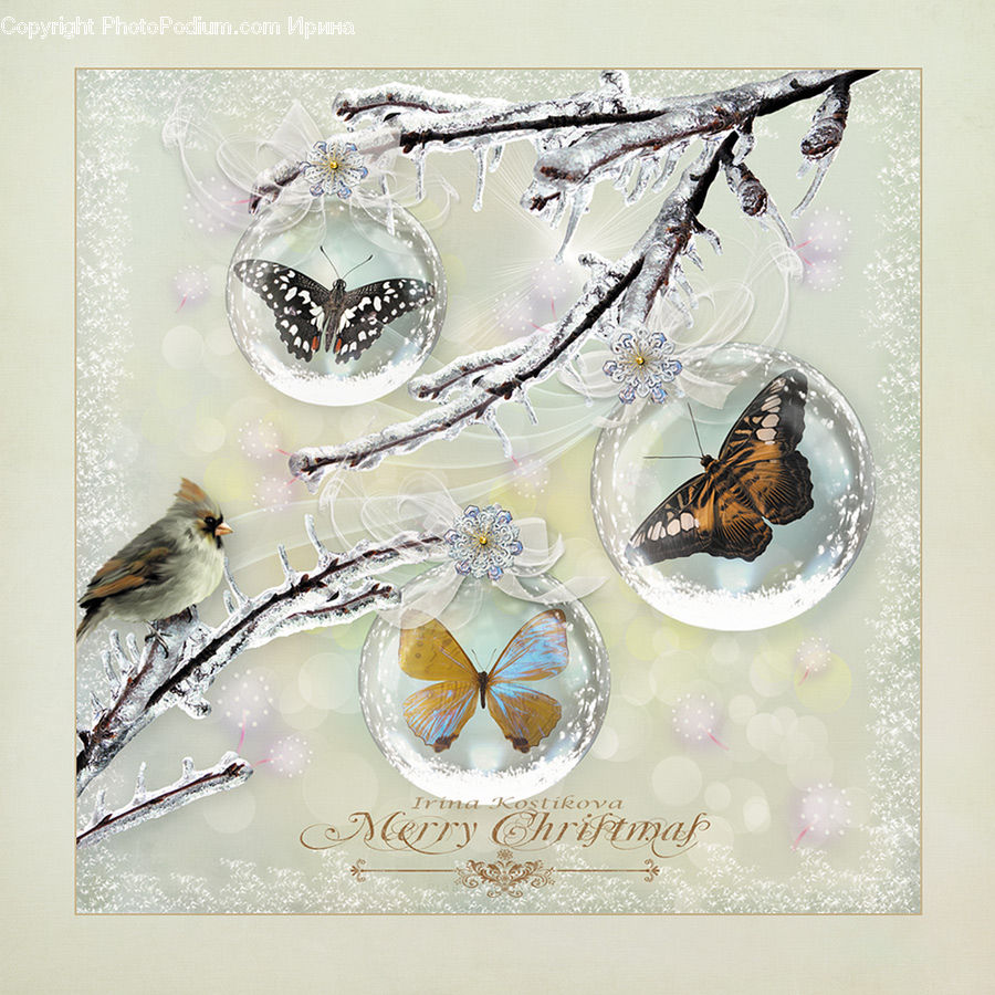 Bird, Sparrow, Finch, Accessories, Blossom, Flora, Flower