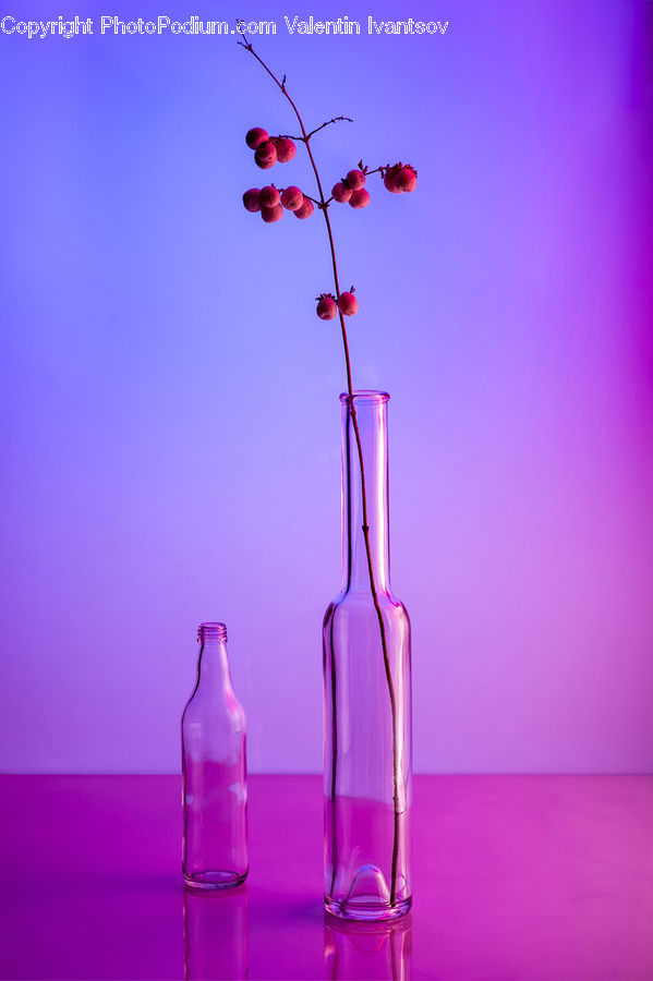 Bottle, Cherry, Fruit, Blossom, Flora, Flower, Plant