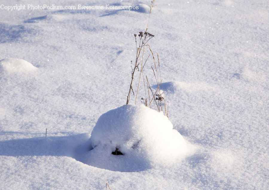 Snow, Snow Angel, Winter