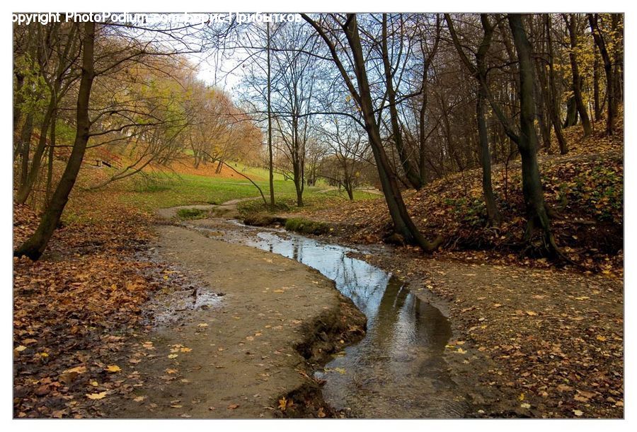 Dirt Road, Gravel, Road, Creek, Outdoors, River, Water