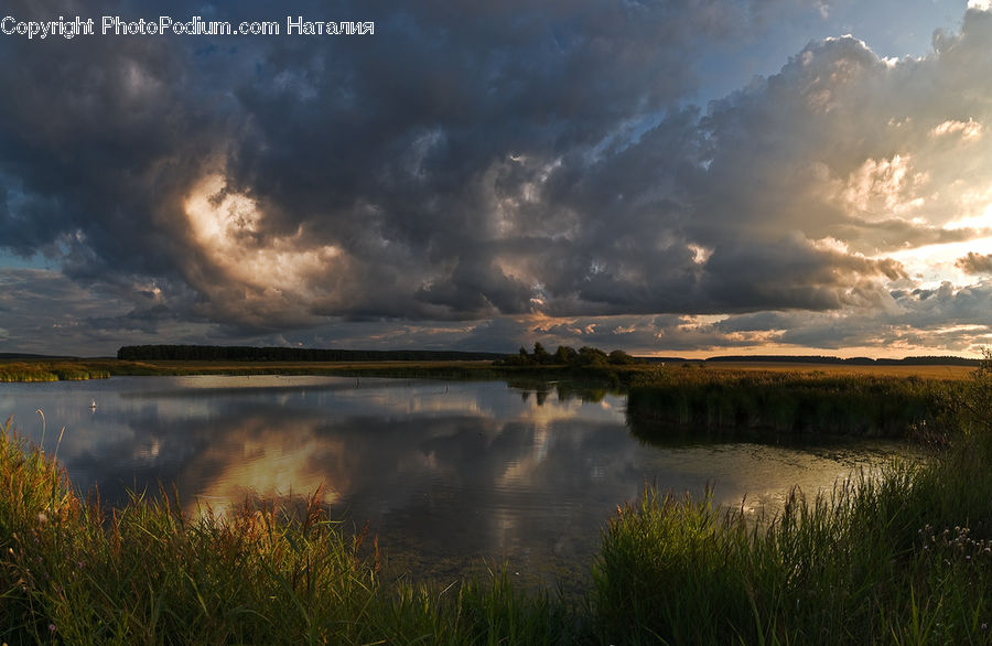 Land, Marsh, Outdoors, Swamp, Water, Azure Sky, Cloud