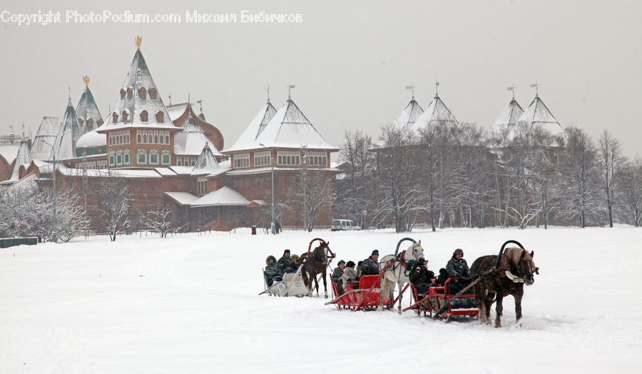 Buggy, Carriage, Horse Cart, Wagon, Ice, Outdoors, Snow