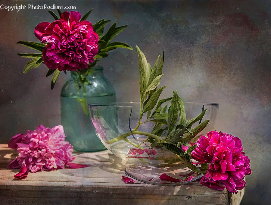 Floral Design, Flower, Flower Arrangement, Flower Bouquet, Ikebana, Acanthaceae, Annonaceae