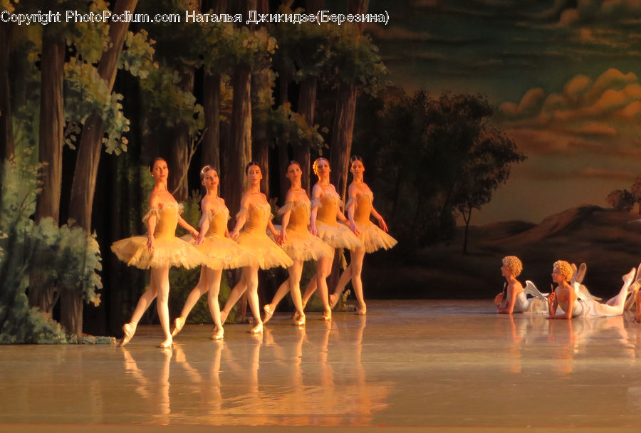 Ballerina, Ballet, Dance, Dance Pose, Performer, Person, Musical